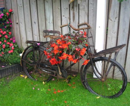 Bakkersfiets in de tuin